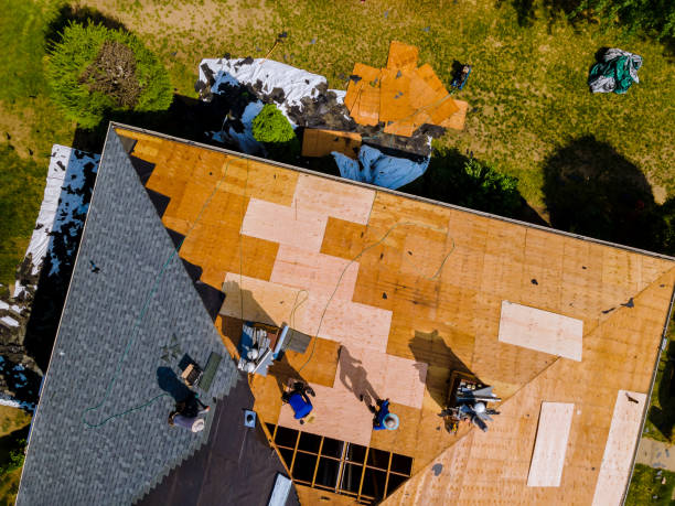 Best Gutter Installation and Roofing  in Pickens, MS