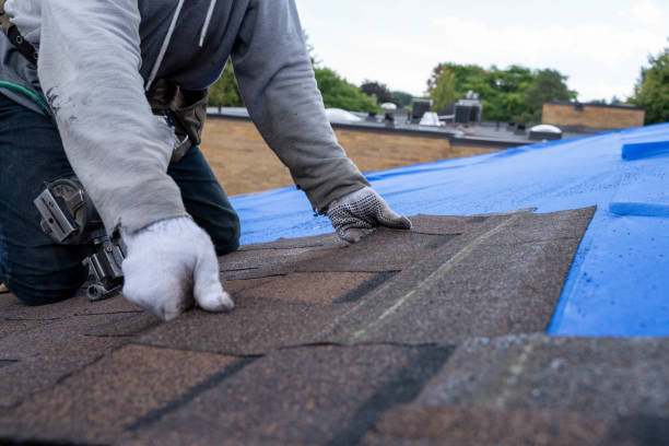Best Residential Roof Replacement  in Pickens, MS