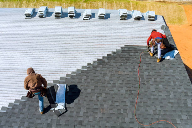 Best Metal Roofing Contractor  in Pickens, MS